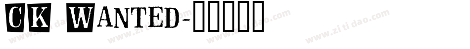 CK Wanted字体转换
